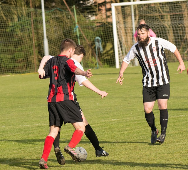 快速集结起 快速集结起