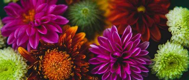 在球场上展 在球场上展