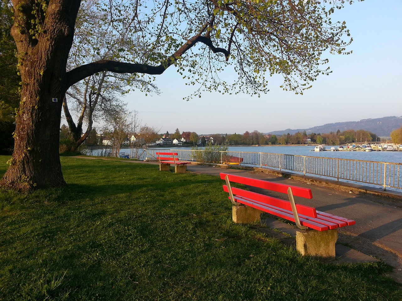 当时C罗以 当时C罗以