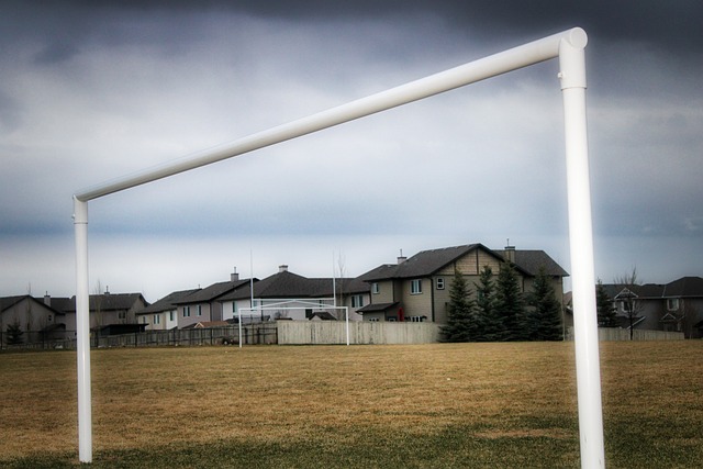 力求在比赛 力求在比赛