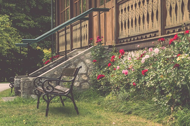 他的到来不 他的到来不