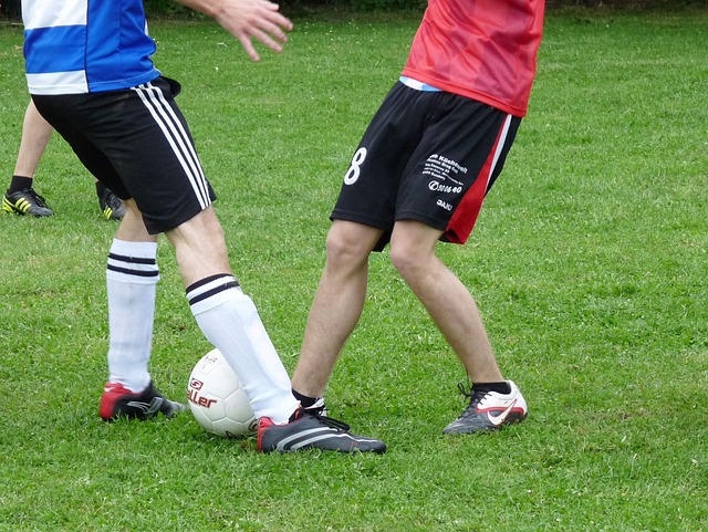 展提供更强 展提供更强